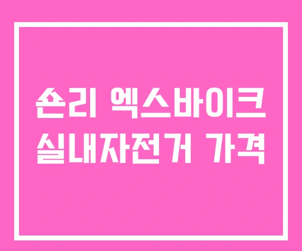 숀리 엑스바이크 실내자전거 가격