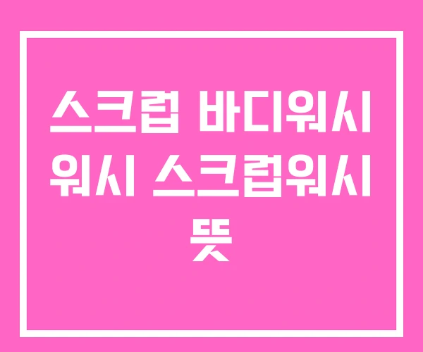 스크럽 바디워시 워시 스크럽워시 뜻
