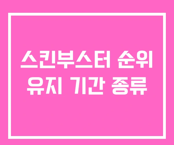 스킨부스터 순위 유지 기간 종류