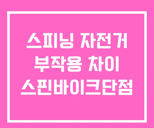 스피닝 자전거 부작용 차이 스핀바이크단점