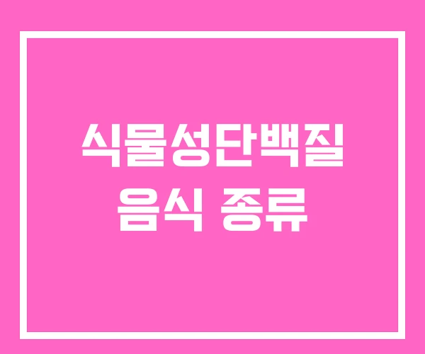 식물성단백질 음식 종류 식물성단백질 음식 종류
