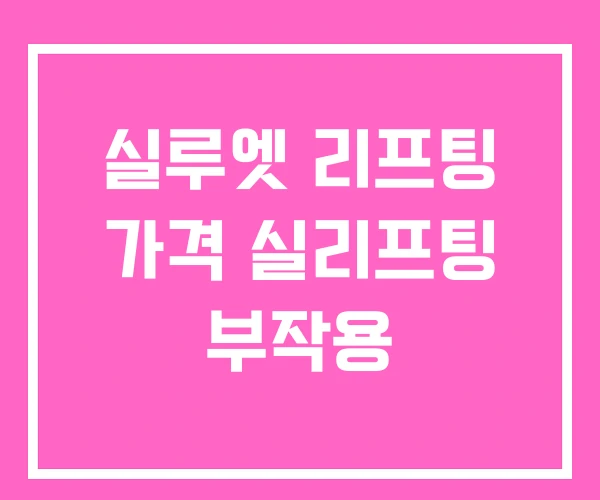 실루엣 리프팅 가격 실리프팅 부작용 실루엣 리프팅 가격 실리프팅 부작용