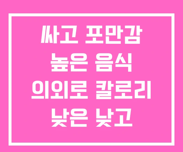 싸고 포만감 높은 음식 의외로 칼로리 낮은 낮고 맛있는 싸고 포만감 높은 음식 의외로 칼로리 낮은 낮고 맛있는