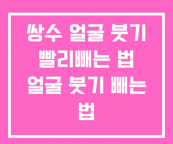 쌍수 얼굴 붓기 빨리빼는 법 얼굴 붓기 빼는 법