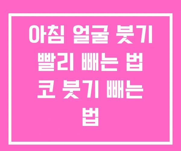 아침 얼굴 붓기 빨리 빼는 법 코 붓기 빼는 법 아침 얼굴 붓기 빨리 빼는 법 코 붓기 빼는 법