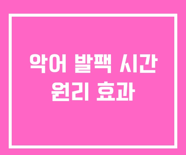 악어 발팩 시간 원리 효과 악어 발팩 시간 원리 효과