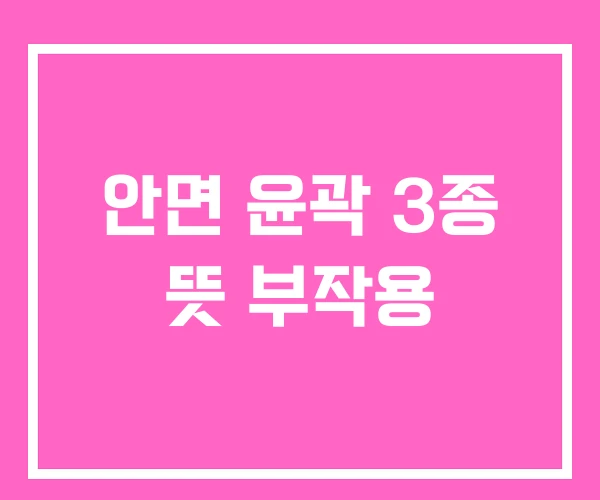 안면 윤곽 3종 뜻 부작용 안면 윤곽 3종 뜻 부작용