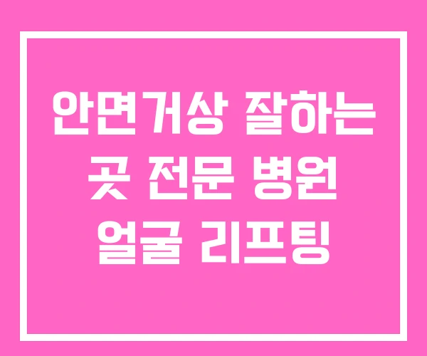 안면거상 잘하는 곳 전문 병원 얼굴 리프팅 안면거상 잘하는 곳 전문 병원 얼굴 리프팅