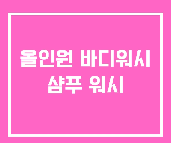 올인원 바디워시 샴푸 워시 올인원 바디워시 샴푸 워시