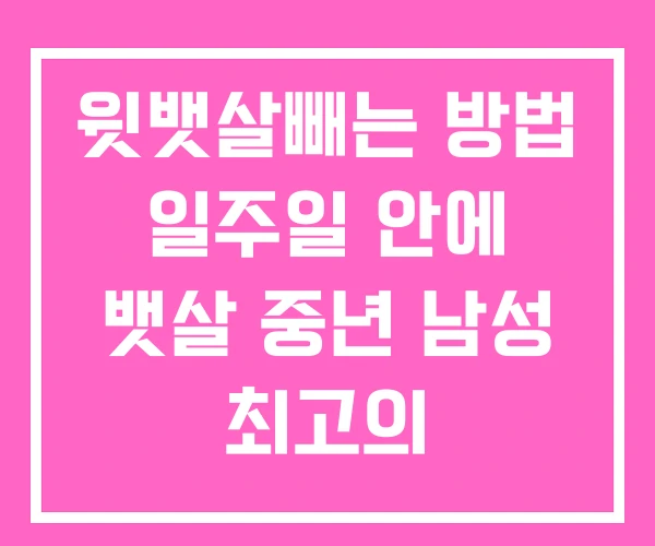 윗뱃살빼는 방법 일주일 안에 뱃살 중년 남성 최고의 윗뱃살빼는 방법 일주일 안에 뱃살 중년 남성 최고의