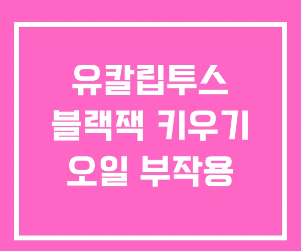 유칼립투스 블랙잭 키우기 오일 부작용 유칼립투스 블랙잭 키우기 오일 부작용
