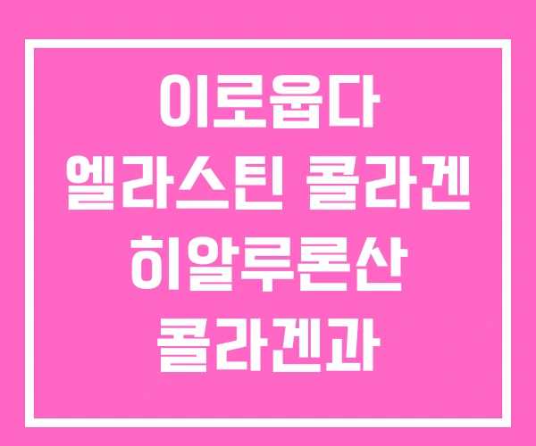 이로웁다 엘라스틴 콜라겐 히알루론산 콜라겐과 이로웁다 엘라스틴 콜라겐 히알루론산 콜라겐과
