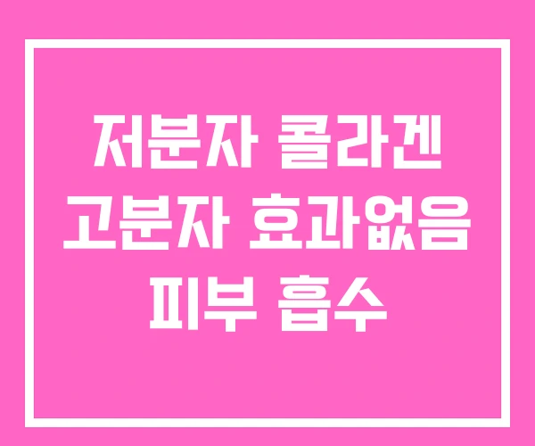 저분자 콜라겐 고분자 효과없음 피부 흡수 저분자 콜라겐 고분자 효과없음 피부 흡수