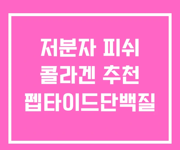 저분자 피쉬 콜라겐 추천 펩타이드단백질