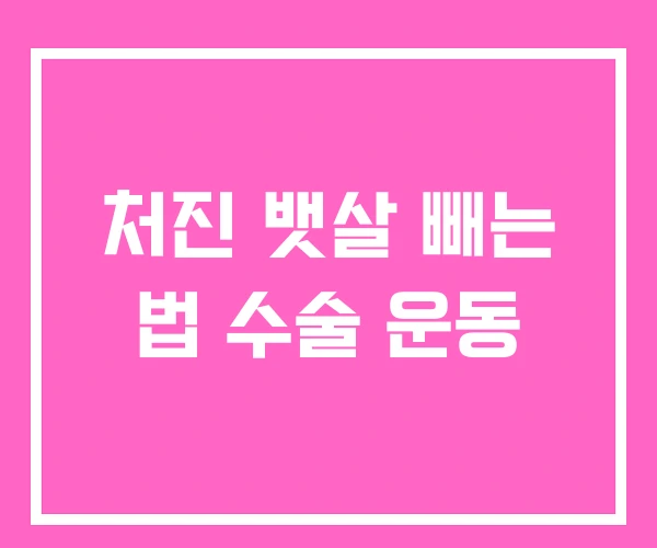 처진 뱃살 빼는 법 수술 운동 처진 뱃살 빼는 법 수술 운동