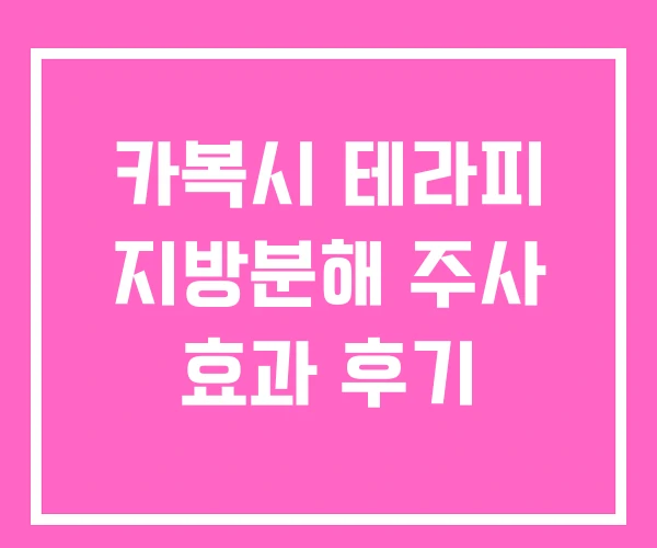 카복시 테라피 지방분해 주사 효과 후기 카복시 테라피 지방분해 주사 효과 후기
