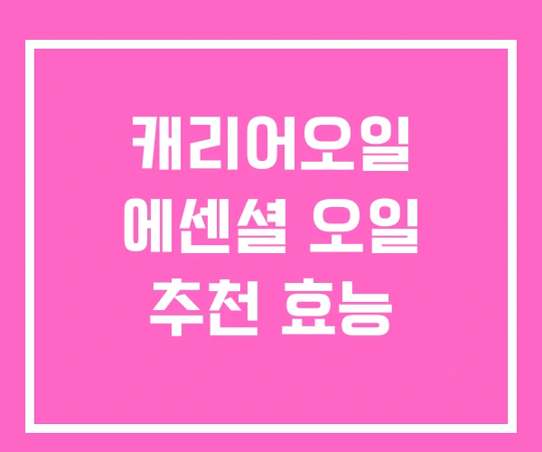 캐리어오일 에센셜 오일 추천 효능