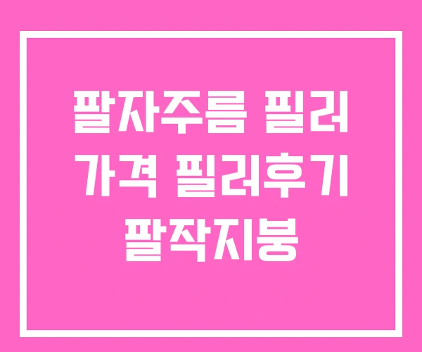 팔자주름 필러 가격 필러후기 팔작지붕