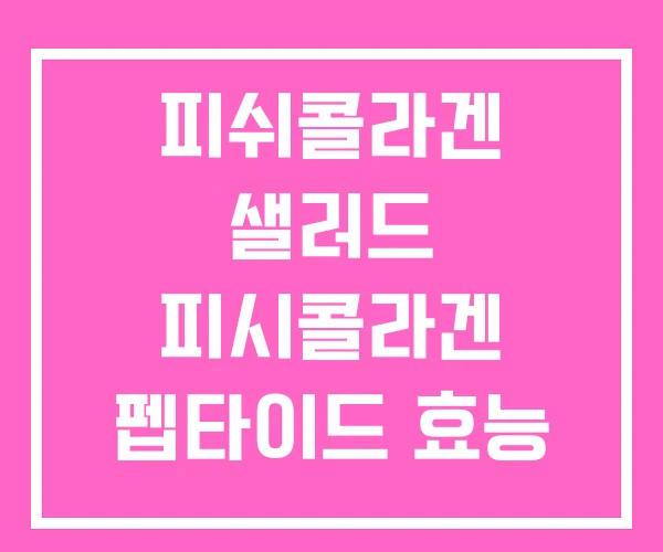 피쉬콜라겐 샐러드 피시콜라겐 펩타이드 효능
