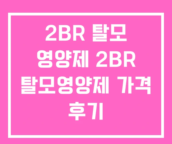 2BR 탈모 영양제 2BR 탈모영양제 가격 후기