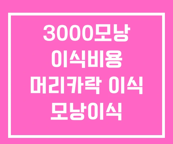 3000모낭 이식비용 머리카락 이식 모낭이식 3000모낭 이식비용 머리카락 이식 모낭이식