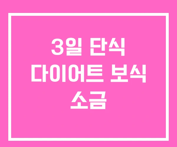 3일 단식 다이어트 보식 소금 3일 단식 다이어트 보식 소금