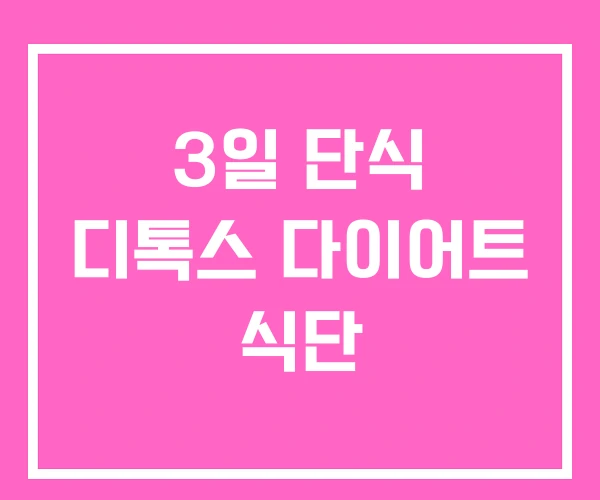 3일 단식 디톡스 다이어트 식단 3일 단식 디톡스 다이어트 식단