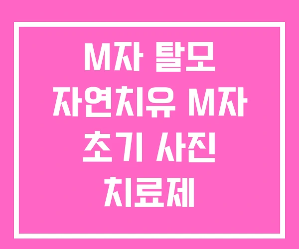 M자 탈모 자연치유 M자 초기 사진 치료제 M자 탈모 자연치유 M자 초기 사진 치료제
