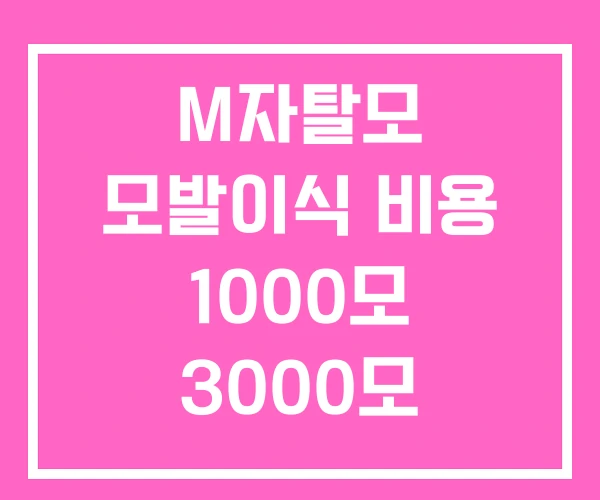 M자탈모 모발이식 비용 1000모 3000모 M자탈모 모발이식 비용 1000모 3000모