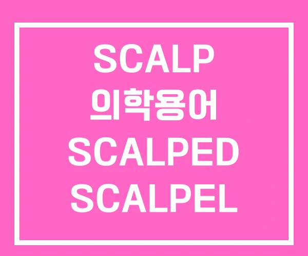 SCALP 의학용어 SCALPED SCALPEL SCALP 의학용어 SCALPED SCALPEL
