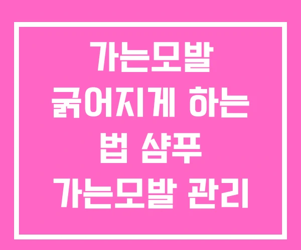 가는모발 굵어지게 하는 법 샴푸 가는모발 관리 가는모발 굵어지게 하는 법 샴푸 가는모발 관리