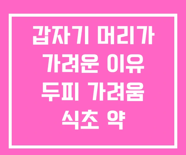 갑자기 머리가 가려운 이유 두피 가려움 식초 약 갑자기 머리가 가려운 이유 두피 가려움 식초 약