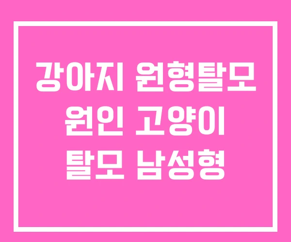 강아지 원형탈모 원인 고양이 탈모 남성형
