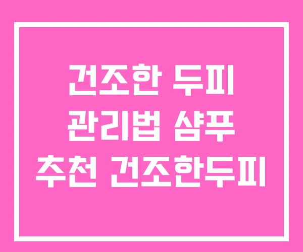 건조한 두피 관리법 샴푸 추천 건조한두피 건조한 두피 관리법 샴푸 추천 건조한두피