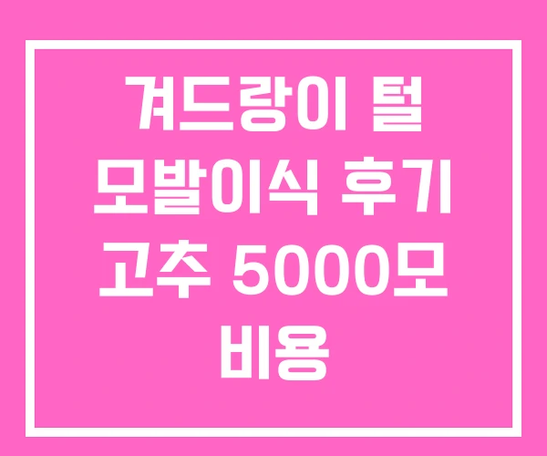 겨드랑이 털 모발이식 후기 고추 5000모 비용 겨드랑이 털 모발이식 후기 고추 5000모 비용