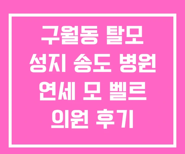 구월동 탈모 성지 송도 병원 연세 모 벨르 의원 후기 구월동 탈모 성지 송도 병원 연세 모 벨르 의원 후기