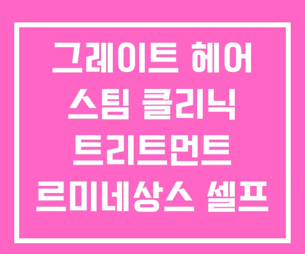 그레이트 헤어 스팀 클리닉 트리트먼트 르미네상스 셀프 그레이트 헤어 스팀 클리닉 트리트먼트 르미네상스 셀프