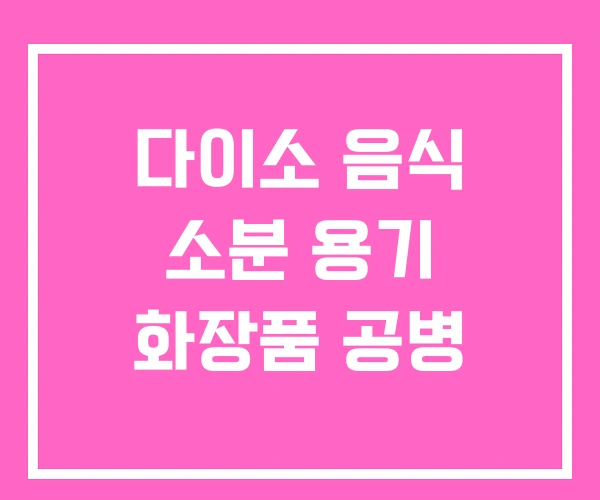 다이소 음식 소분 용기 화장품 공병 다이소 음식 소분 용기 화장품 공병