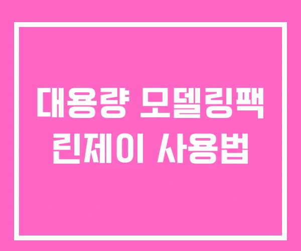 대용량 모델링팩 린제이 사용법