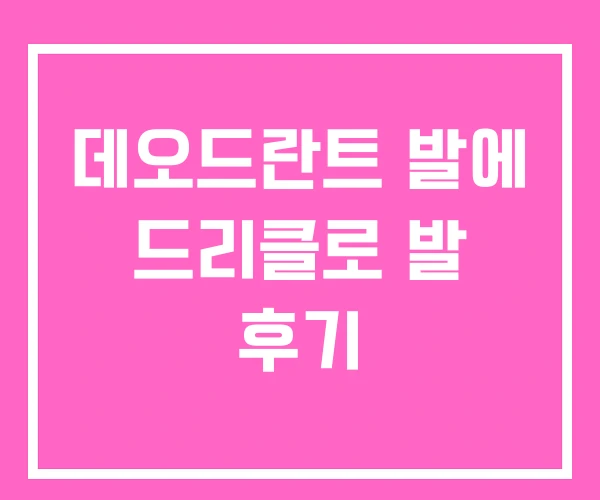 데오드란트 발에 드리클로 발 후기 데오드란트 발에 드리클로 발 후기