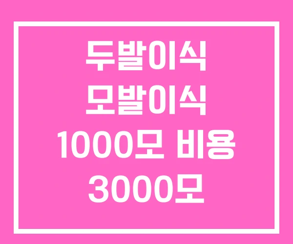 두발이식 모발이식 1000모 비용 3000모 두발이식 모발이식 1000모 비용 3000모