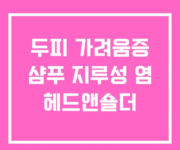 두피 가려움증 샴푸 지루성 염 헤드앤숄더 두피 가려움증 샴푸 지루성 염 헤드앤숄더