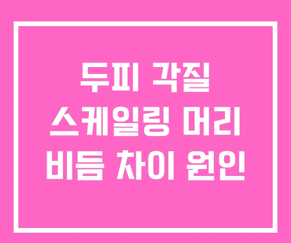 두피 각질 스케일링 머리 비듬 차이 원인 두피 각질 스케일링 머리 비듬 차이 원인