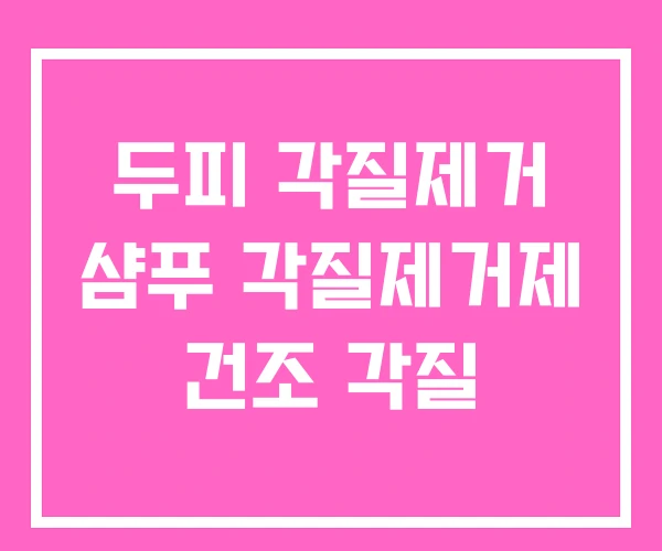 두피 각질제거 샴푸 각질제거제 건조 각질 두피 각질제거 샴푸 각질제거제 건조 각질