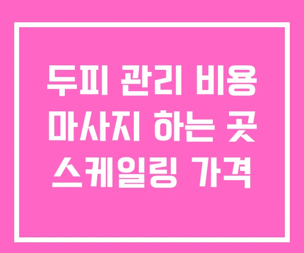 두피 관리 비용 마사지 하는 곳 스케일링 가격 두피 관리 비용 마사지 하는 곳 스케일링 가격