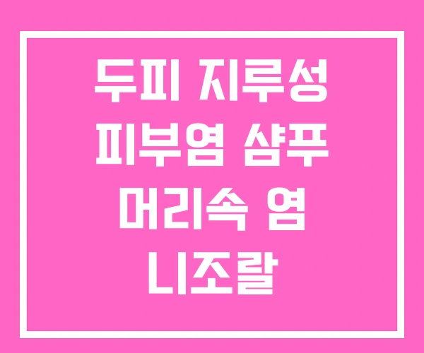 두피 지루성 피부염 샴푸 머리속 염 니조랄 두피 지루성 피부염 샴푸 머리속 염 니조랄