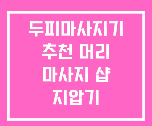 두피마사지기 추천 머리 마사지 샵 지압기