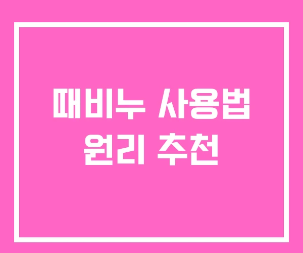 때비누 사용법 원리 추천