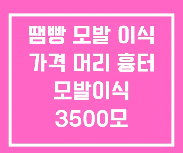 땜빵 모발 이식 가격 머리 흉터 모발이식 3500모