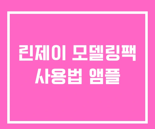 린제이 모델링팩 사용법 앰플
